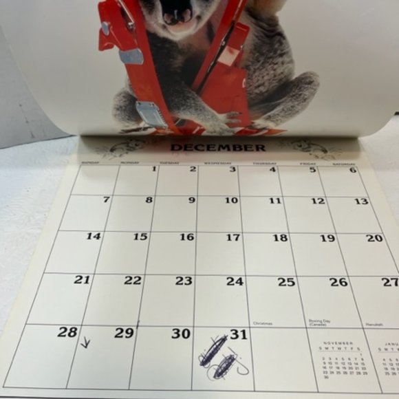 VTG "Sydney", the Qantas Koala Bear 1986 Calendar 12x12" - Picture 10 of 12